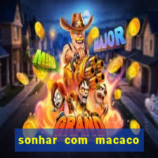 sonhar com macaco o que significa